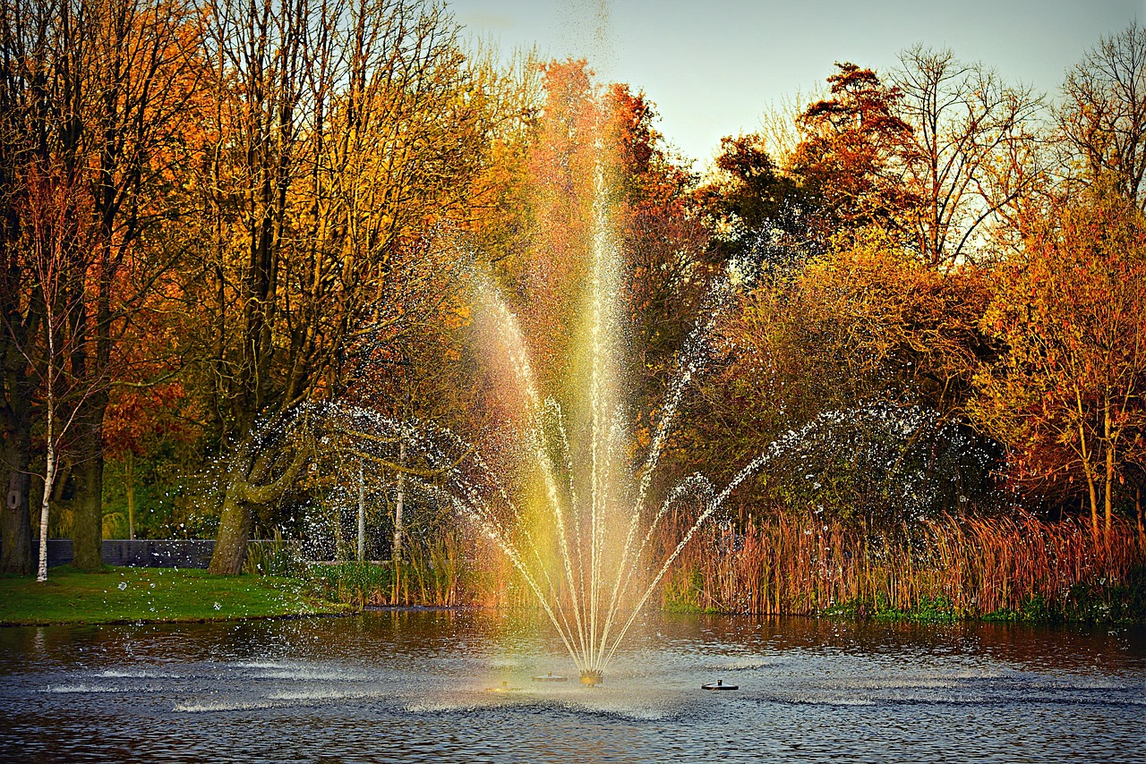 fountain, water, spray, drops, spouting, pond, rainbow, autumn trees, park, nature, vondelpark, amsterdam, netherlands