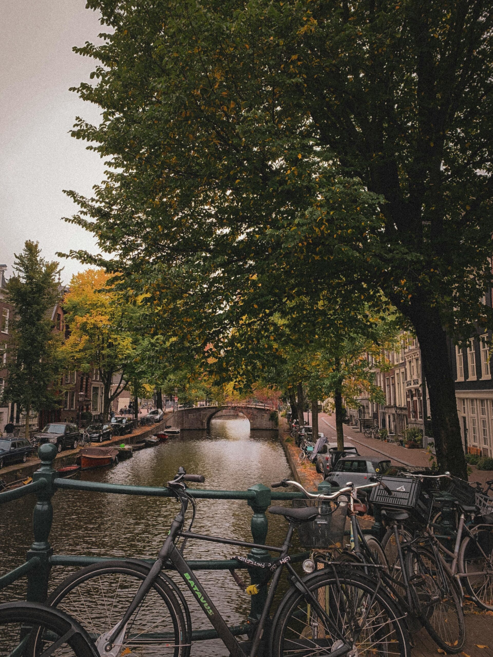 Charming Amsterdam canal lined with bicycles and autumn foliage on a cloudy day.